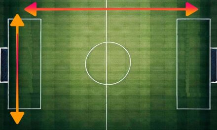 What are the Dimensions of a Soccer Field? Understanding the Basics (2024)